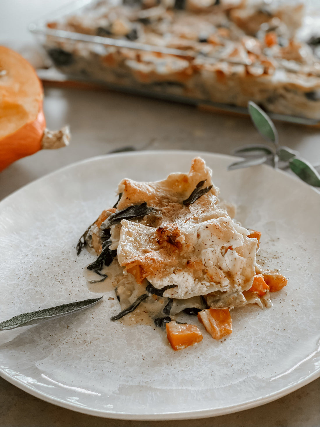 Vegane Lasagne 2