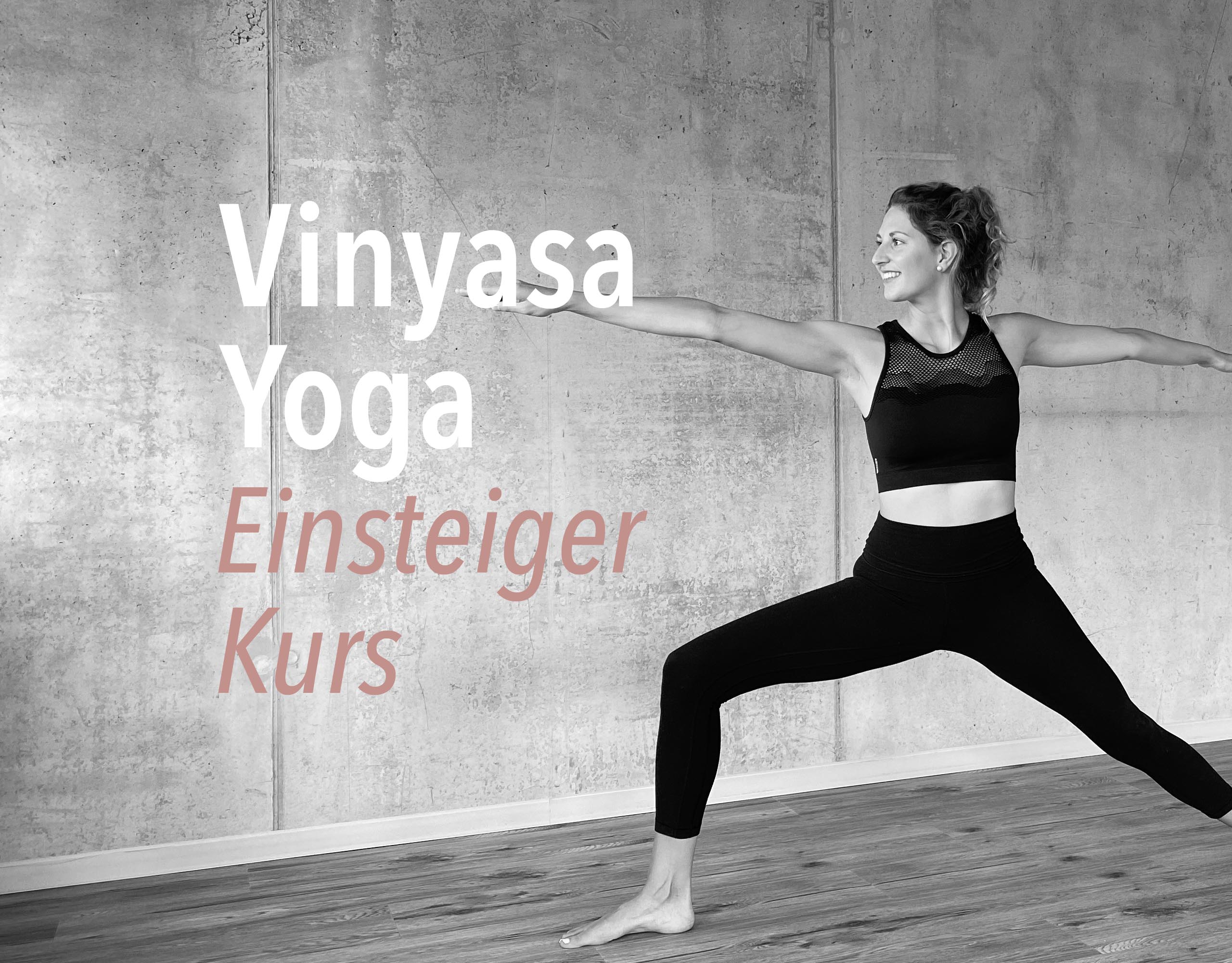 Vinyasa Einsteiger Onlinekurs