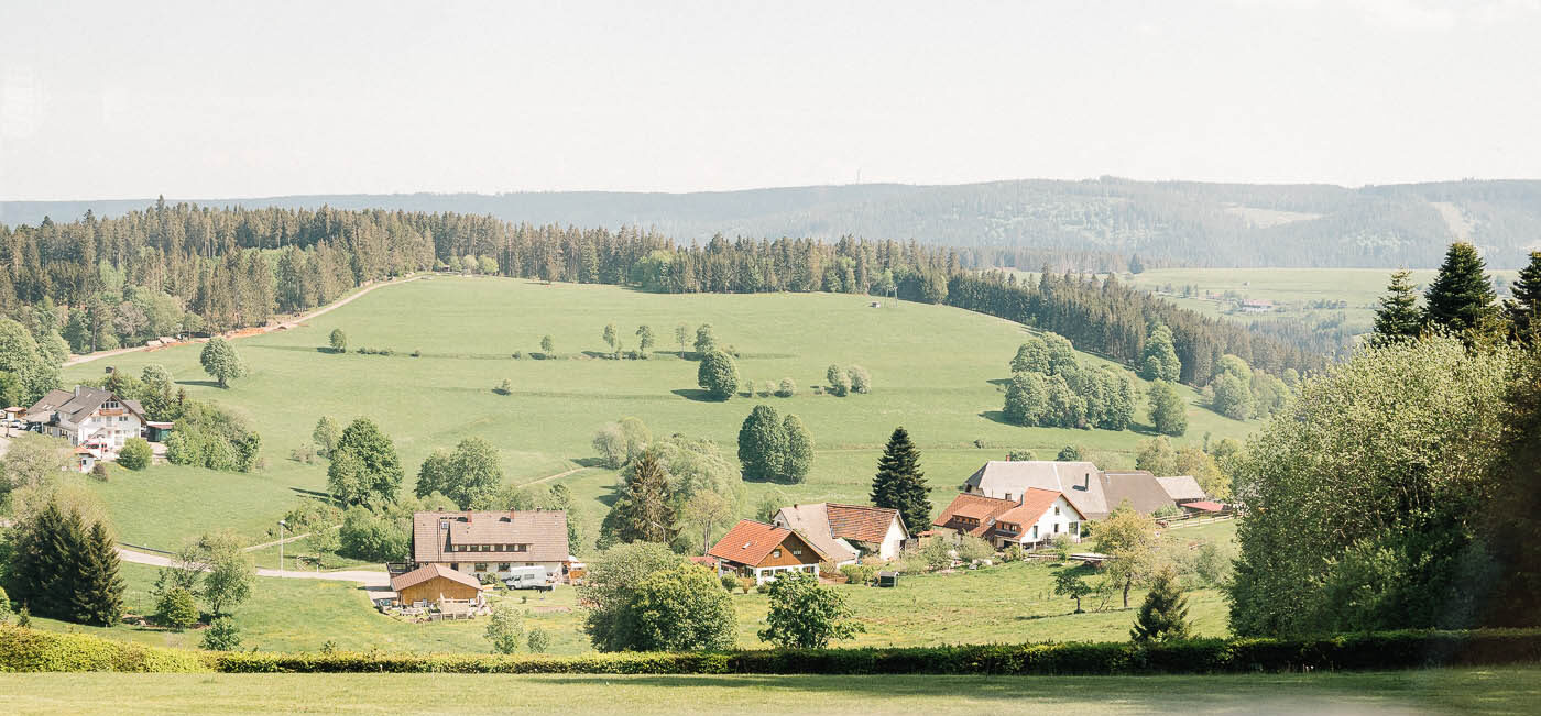 Sommer-Schwarzwald Aussucht